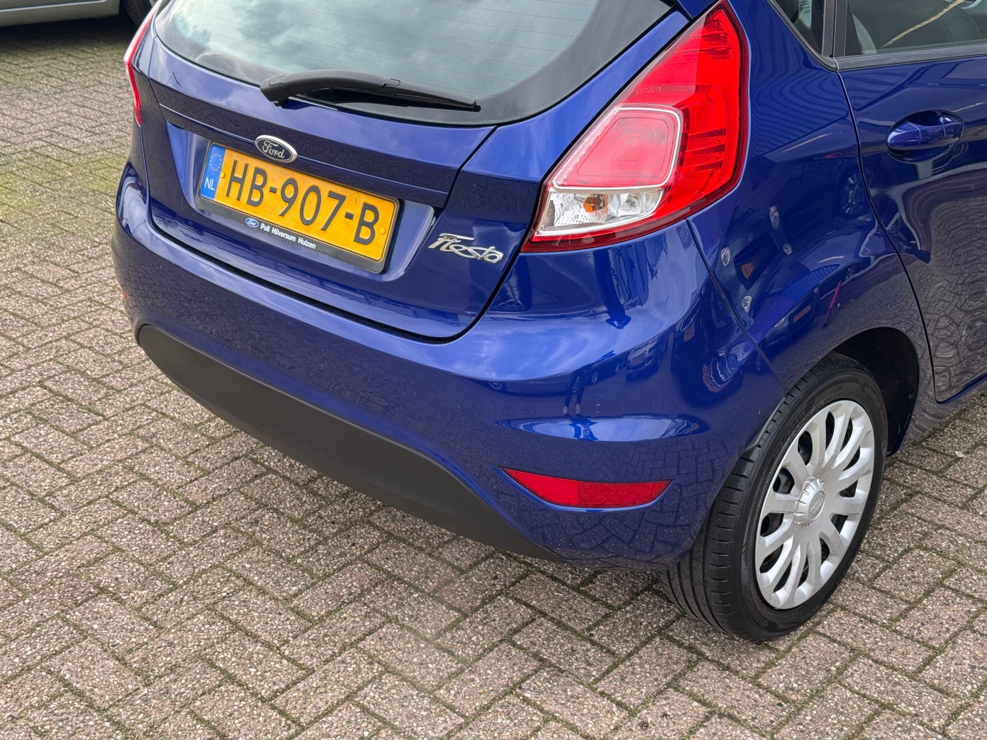42972091-46.jpg