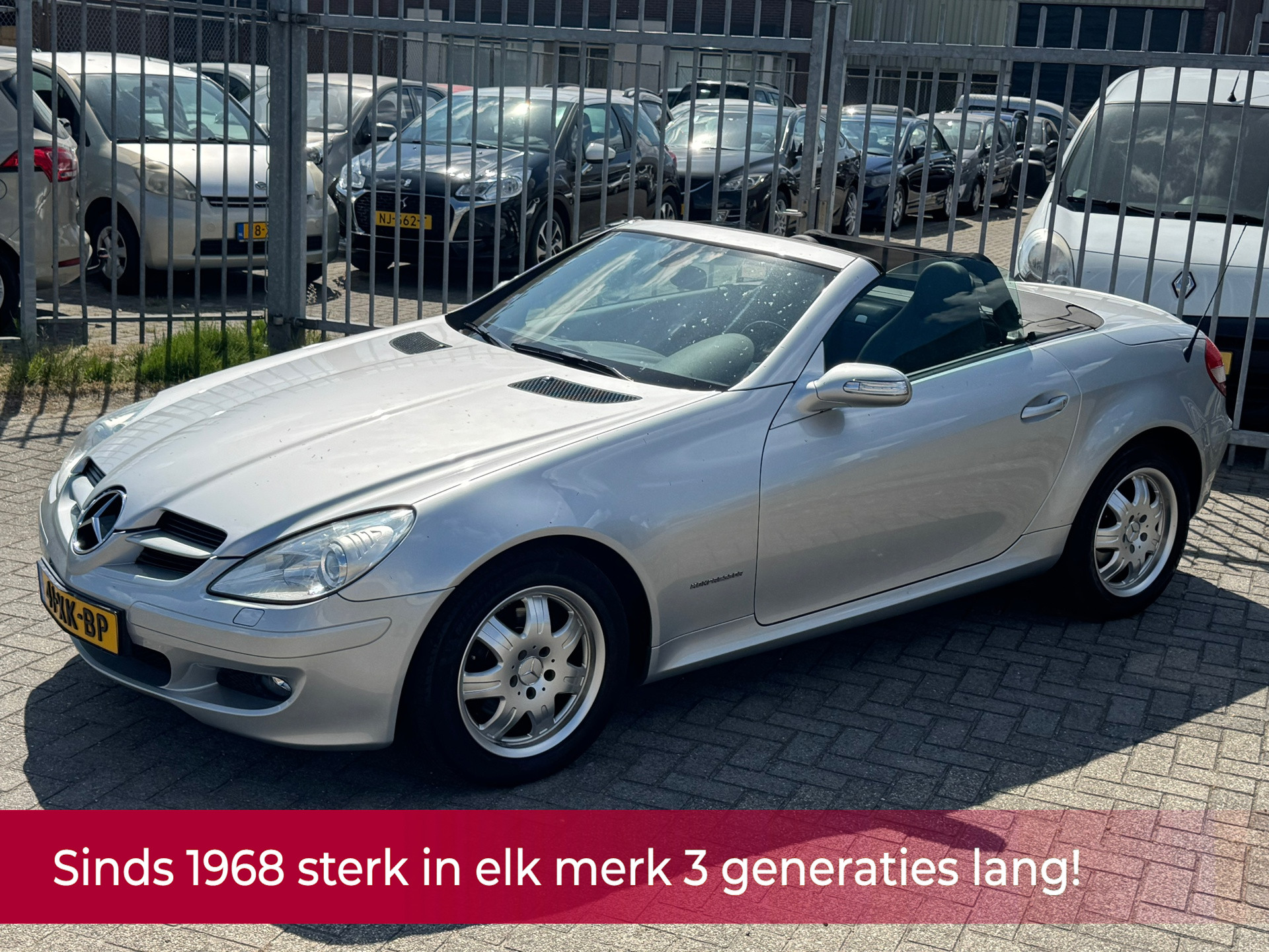 44160909-0.jpg