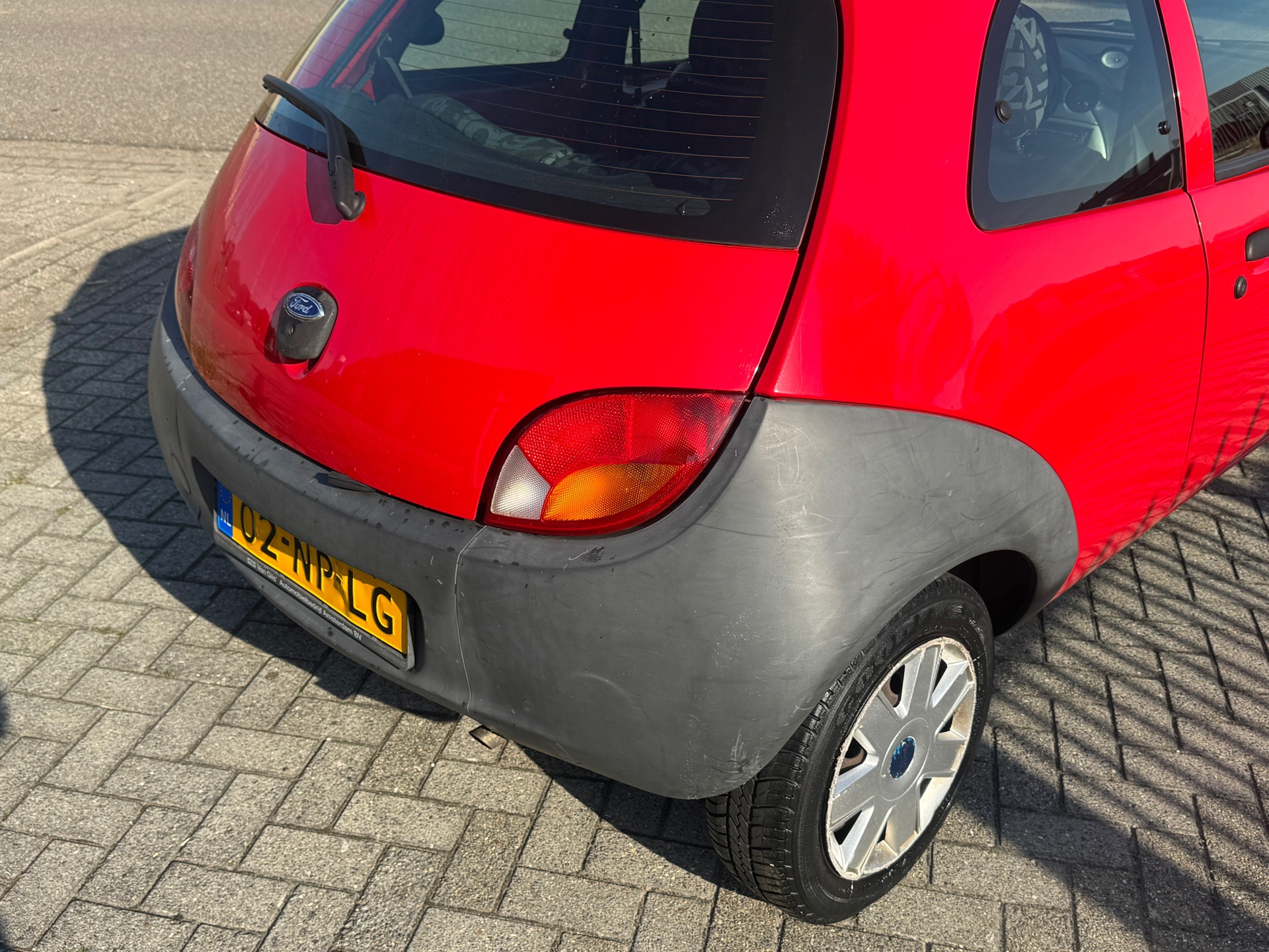 47444289-25.jpg