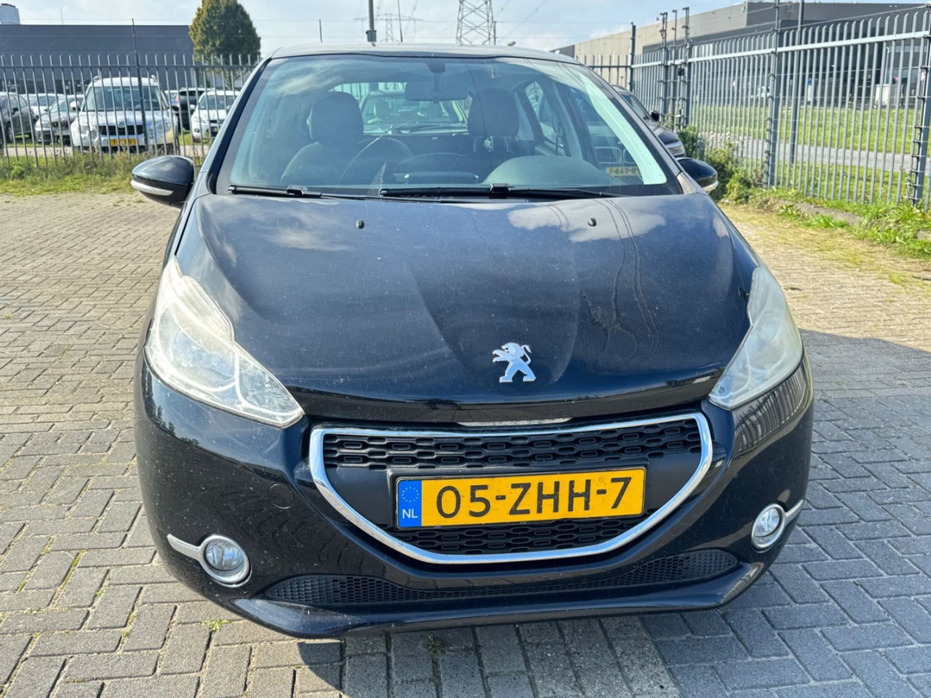48670927-1.jpg