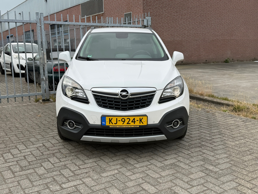 54938115-1.jpg
