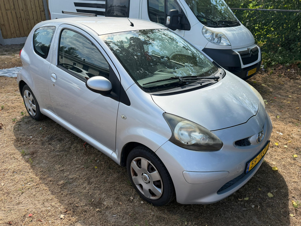 55622380
